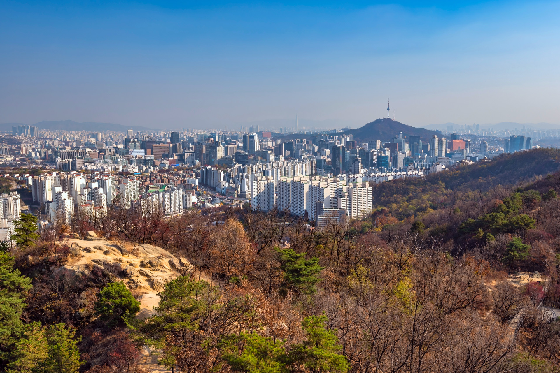 韓国生活サポートサービス